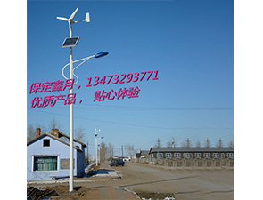 风光互补太阳能路灯FGD-32